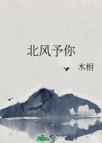 北风予你