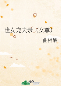 世女宠夫录（女尊）