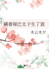瞒着哑巴太子生了崽
