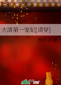 大清第一宠妃[清穿]