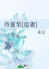 待夏至[追妻]