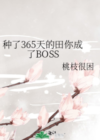 种了365天的田你成了BOSS