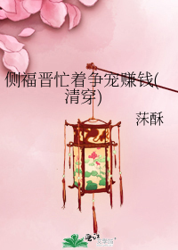 侧福晋忙着争宠赚钱(清穿)