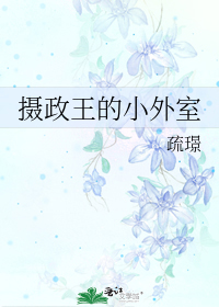 摄政王的小外室