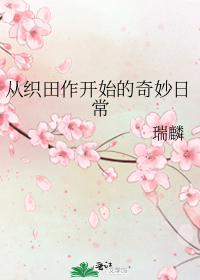 从织田作开始的奇妙日常