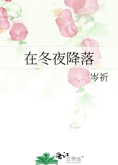 在冬夜降落