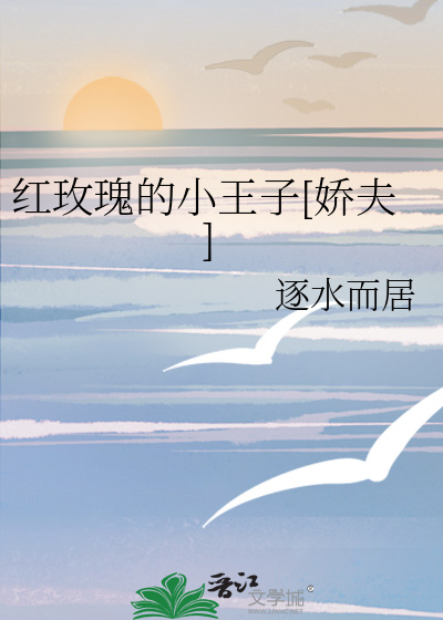 红玫瑰的小王子[娇夫]