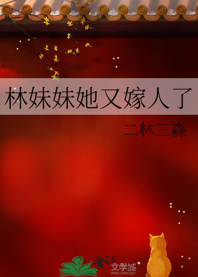 林妹妹她又嫁人了