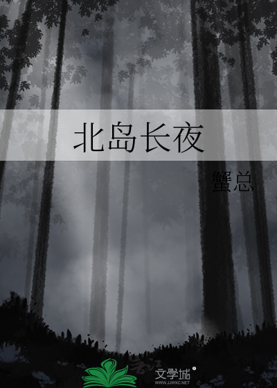 北岛长夜