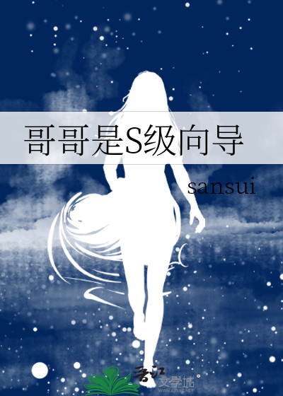 哥哥是S级向导