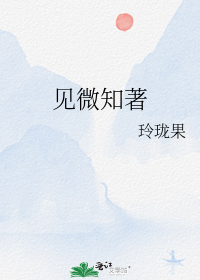 见微知著