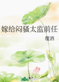嫁给闷骚太监前任