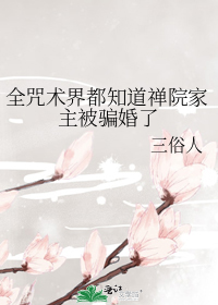 全咒术界都知道禅院家主被骗婚了
