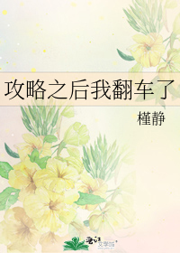 攻略之后我翻车了