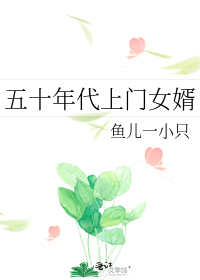 五十年代上门女婿