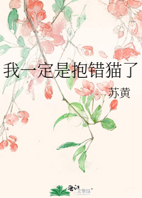我一定是抱错猫了